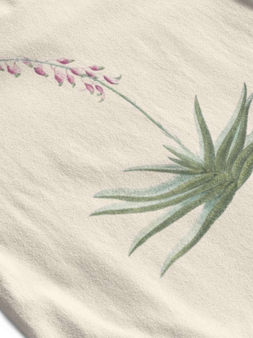 Carinated Gasteria Vintage Floral Print Short Sleeve Graphic Tee T-shirt S-XXL - Picture 2 of 5